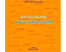 تبلیغات جنگ، 1914-1918: جوابیه ای بر کتابهای آبی انگلیس